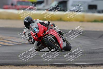 media/Jan-15-2023-SoCal Trackdays (Sun) [[c1237a034a]]/Turn 2 Set 2 (1155am)/